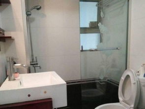 上海雙南兩房兩廳精裝電梯房 高性價比，隨時看房